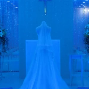照明：ブルー|376645さんのun jour de KAREN（アン ジュール ド カレン）（ウエディング取扱終了）の写真(161370)