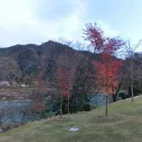 川上別荘のお庭から観た木曽川の風景