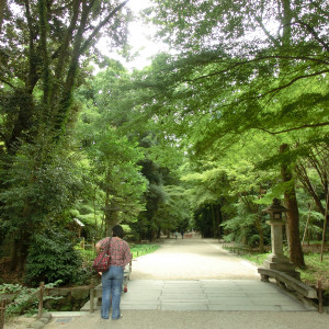 世界遺産、糺の森です。|377229さんの下鴨神社の写真(180169)