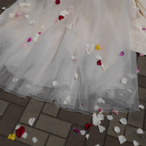 ドレスを飾る花びらたち|377280さんの聖ラファエル教会（広島）（営業終了）の写真(153715)