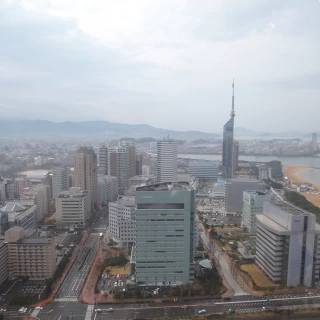 会場からの眺め