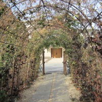 ガーデン挙式会場に繋がる木のトンネル