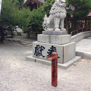 狛犬|378516さんの警固神社の写真(159833)