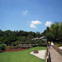 日本庭園、紅い橋が緑の中に映えます