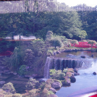 ホテル内の喫茶ラウンジ「ガーデンラウンジ」から見える日本庭園
