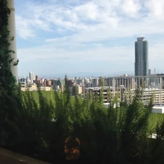 挙式会場からの景色