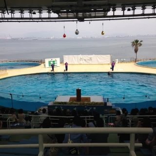 プール正面に祭壇が配置