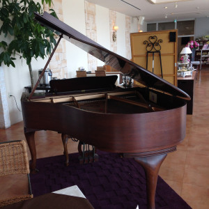 グランドピアノが使えます|379744さんのレストラン&ウェディング ハーバービレッジの写真(164683)