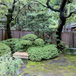 手入れがしっかりされた庭園。|380206さんの根津神社の写真(277399)
