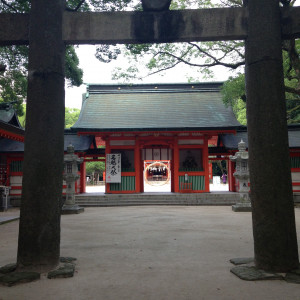 鳥居越しに見た本殿の方向|381019さんの住吉神社(博多)の写真(171645)