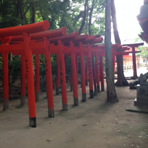 裏手の赤い鳥居の並びは圧巻|381019さんの住吉神社(博多)の写真(171666)