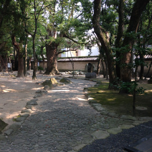 石の通路の脇には高い木々がそびえて雰囲気よし|381351さんの筥崎宮の写真(173806)