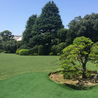 春は桜が綺麗だそうです