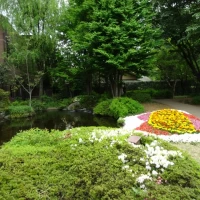 庭の花