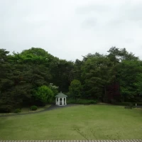 広いお庭です