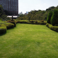 緑に囲まれた中庭。写真撮影や、バルーンを飛ばしたり。