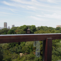 広いラウンジから椿山荘の美しい景色を一望。