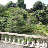 池や緑が広がり、写真撮影にぴったり。