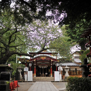 都会の中の静かな森と神社|390289さんの居木神社の写真(204960)