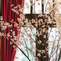 三月の館内の桜の装飾