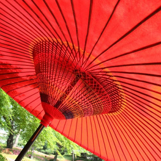 庭の傘