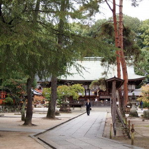 木々に囲まれ、伝統と穏やかな時間を過ごせる境内です。|393353さんの今宮神社の写真(212163)
