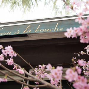 春には桜の大きな植木があって、華やかです。|393895さんの ロアラブッシュ（営業終了）の写真(213143)