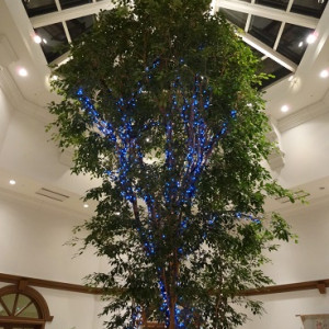 ウェイティングスペース！木が生えている！|394321さんのホテルスプリングス幕張の写真(214268)