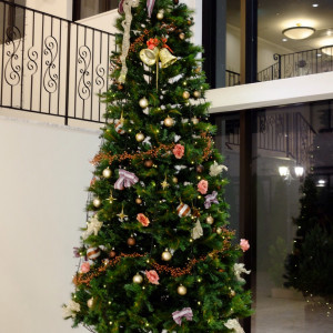 １２月はロビーに大きなクリスマスツリーが飾られる|395898さんのQueen's Marry（クイーンズマリー）の写真(216670)