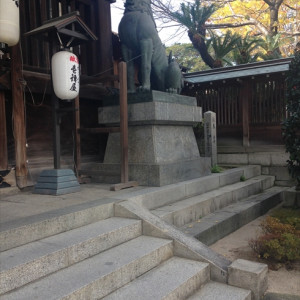 段差であがった本殿|397593さんの亀山神社の写真(220061)