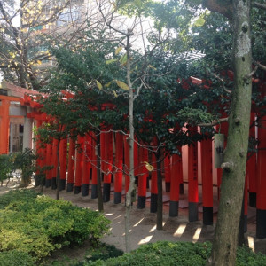 赤い鳥居が見えるお庭風景|397593さんの亀山神社の写真(220065)