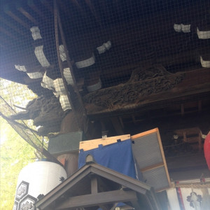 入口外観|397593さんの亀山神社の写真(220028)