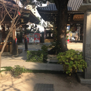 ガーデンの写真5|397593さんの亀山神社の写真(220041)