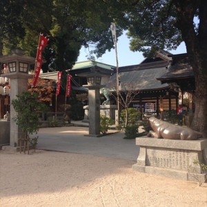 ガーデンの写真12|397593さんの亀山神社の写真(220060)