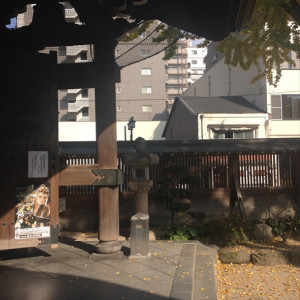 ガーデンの写真|397593さんの亀山神社の写真(220031)