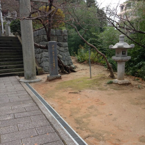 参道脇の植物|397614さんの北岡神社の写真(220135)