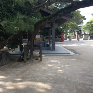 参道|397614さんの北岡神社の写真(220168)