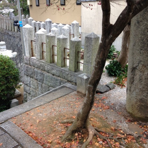 庭園風景11|397614さんの北岡神社の写真(220141)