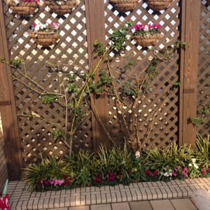 ガーデンがとっても綺麗|398258さんのバロン オークラ ワインダイニング (ホテルオークラ福岡)の写真(222902)
