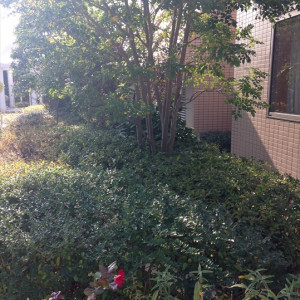 屋外ガーデン|398258さんのバロン オークラ ワインダイニング (ホテルオークラ福岡)の写真(222901)