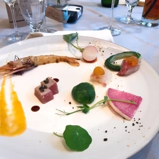 前菜がアートみたいでした！目で見て楽しめるお料理でした！