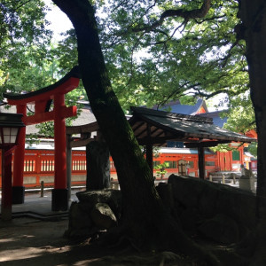 大木の情緒がすごい|403923さんの住吉神社(博多)の写真(245761)