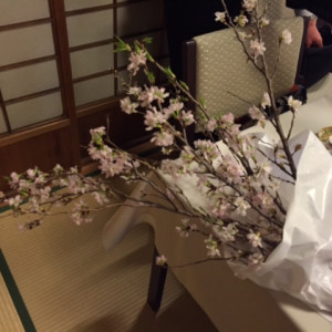 桜の花が豪華に飾られていました|404946さんの開花亭の写真(394536)