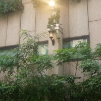 チャペルの隅にも緑あふれる