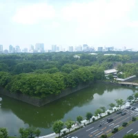 この部屋からも皇居が見える