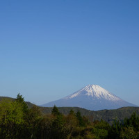 ガーデンからの富士山