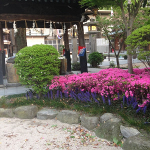 ガーデンのお花の手入れが徹底|405849さんの櫛田神社(福岡県)の写真(237886)