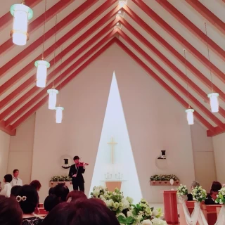 天井も木目です