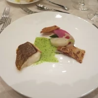 魚
