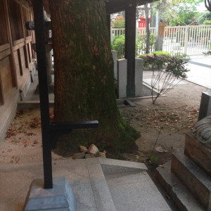 入口のオブジェ|408290さんの櫛田神社(福岡県)の写真(247720)